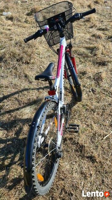 rower Author A-Matrix 26 biało-czerwony, rama alu 13,5