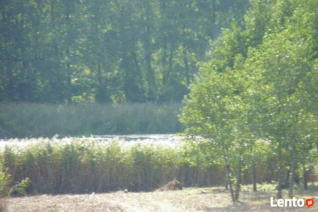 Działka nad Jeziorem L brzeg78m K.Choszczna.1 Ha. OKAZJA