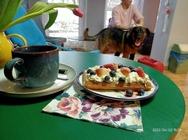 Kawiarnia Warszawa Targówek. Park Wiecha. Teatr Rampa