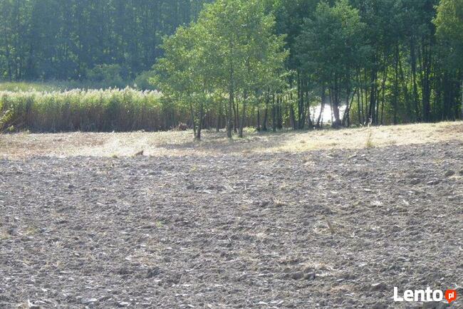 Działka nad Jeziorem L brzeg78m K.Choszczna.1 Ha. OKAZJA
