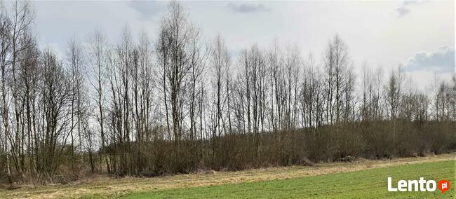 sprzedam działki rekreacyjne