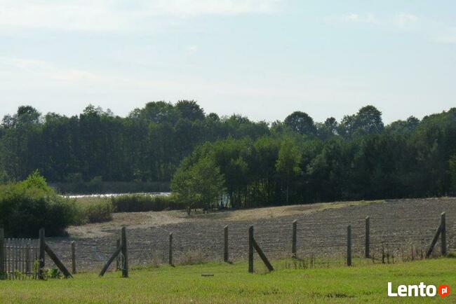 Działka nad Jeziorem L brzeg78m K.Choszczna.1 Ha. OKAZJA