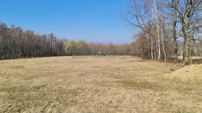 Na sprzedaż działka budowlana Polanica Zdrój