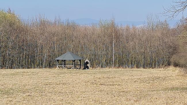 Na sprzedaż działka budowlana Polanica Zdrój