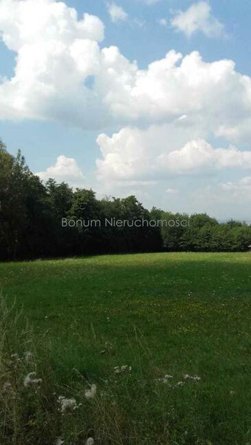 Na sprzedaż działka budowlana Polanica Zdrój