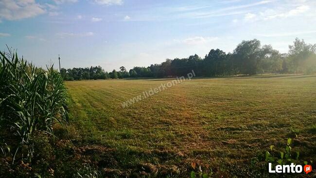 Sprzedam działki w miejscowości Biała Panieńska k. Rychwała