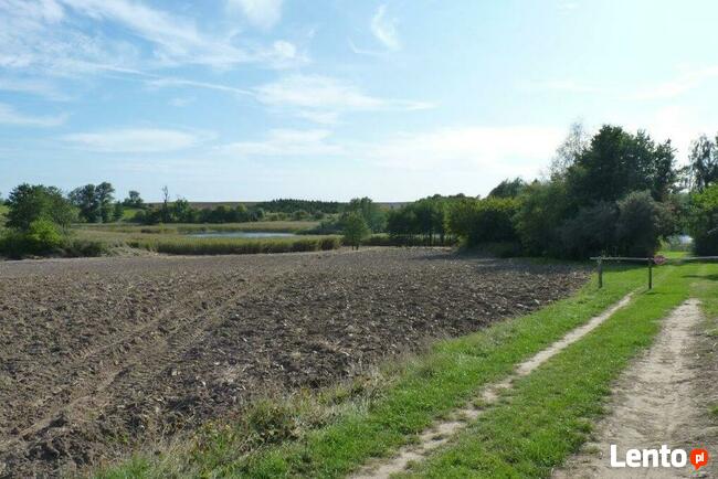 Działka nad Jeziorem L brzeg78m K.Choszczna.1 Ha. OKAZJA