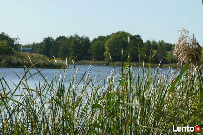 Działka nad Jeziorem L brzeg78m K.Choszczna.1 Ha. OKAZJA