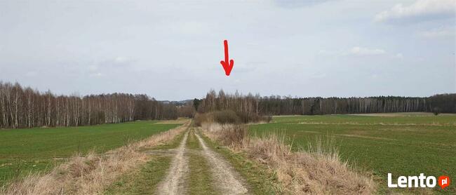sprzedam działki rekreacyjne