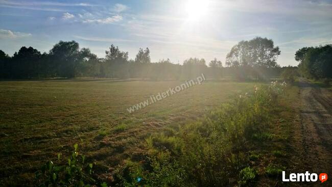 Sprzedam działki w miejscowości Biała Panieńska k. Rychwała