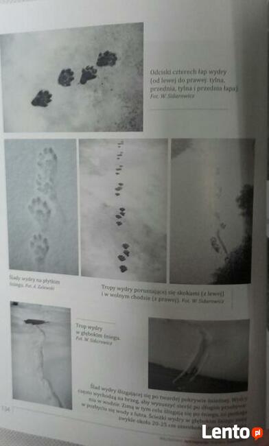 Sztuka tropienia zwierząt, W. Jędrzejewski | NOWA