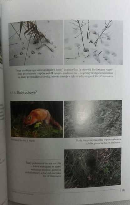 Sztuka tropienia zwierząt, W. Jędrzejewski | NOWA