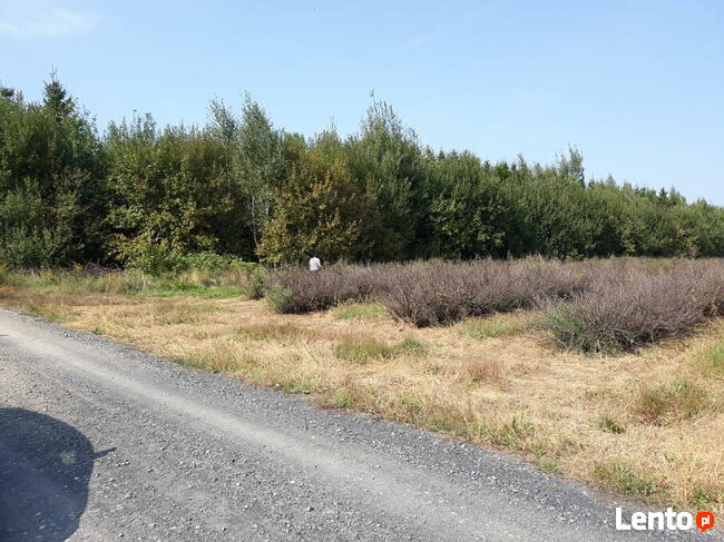 Działka rolna z możliwością budowy domu.