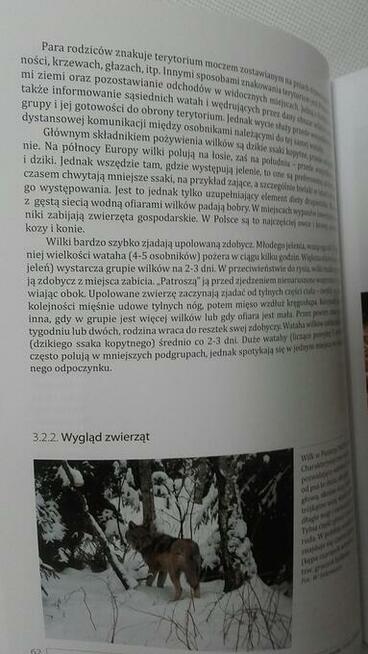 Sztuka tropienia zwierząt, W. Jędrzejewski | NOWA