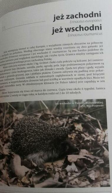 Sztuka tropienia zwierząt, W. Jędrzejewski | NOWA