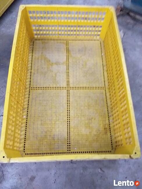 Kosze do transportu drobiu.