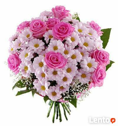 Holandia- atrakcyjna oferta pracy przy kwiatach