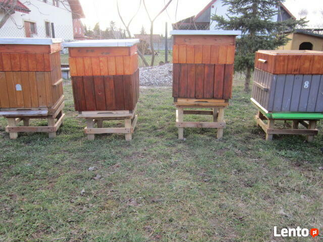 pszczoly ule odklady pszczele