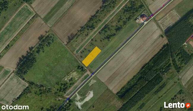 TRZCIANA | Wydane Warunki Zabudowy | 20,33 ar !