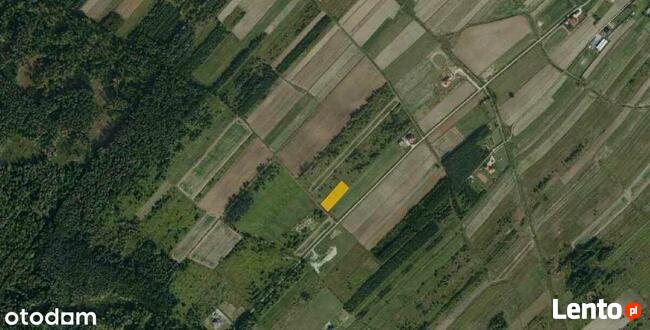 TRZCIANA | Wydane Warunki Zabudowy | 20,33 ar !