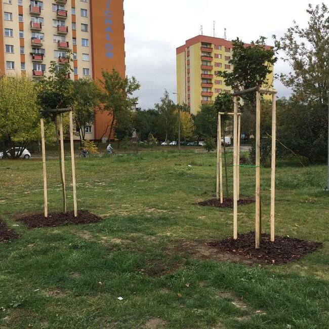 Ogrodnik / Pracownik zieleni