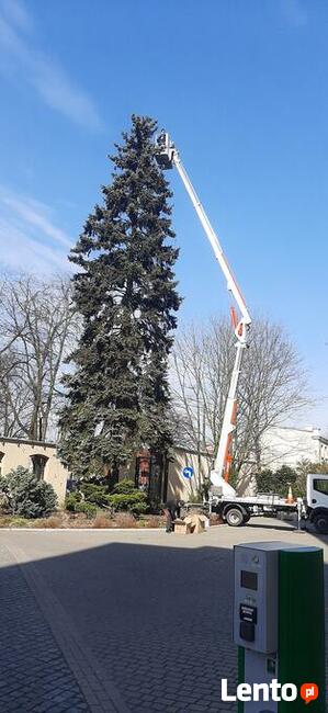 Podnośnik koszowy - USŁUGI