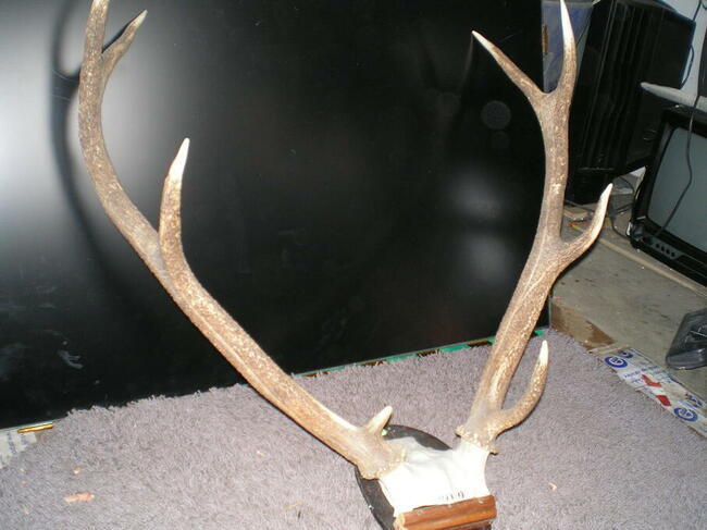 Felgi, kola i różne części