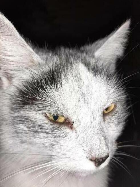 Wirtualna znajomość PRZYIACIELE