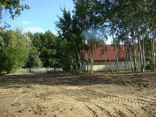 Dz. Inwestycyjna (3498 m2) ok. Trzebnickiej MEDIA (Wilczyn)