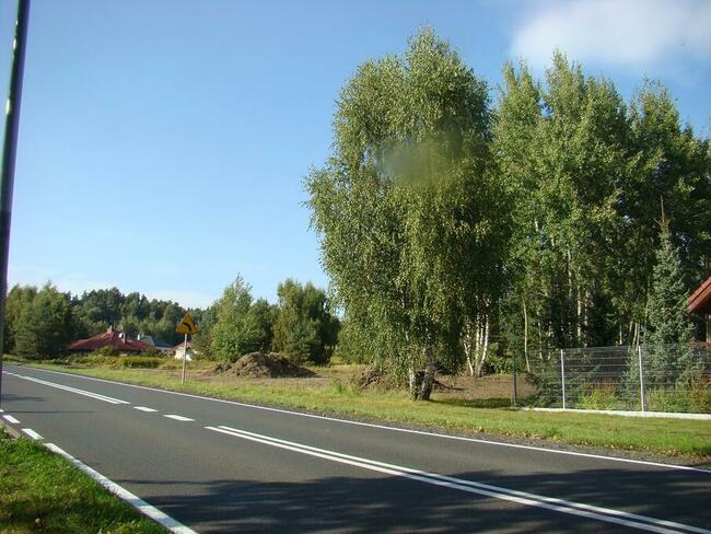 Dz. Inwestycyjna (3498 m2) ok. Trzebnickiej MEDIA (Wilczyn)