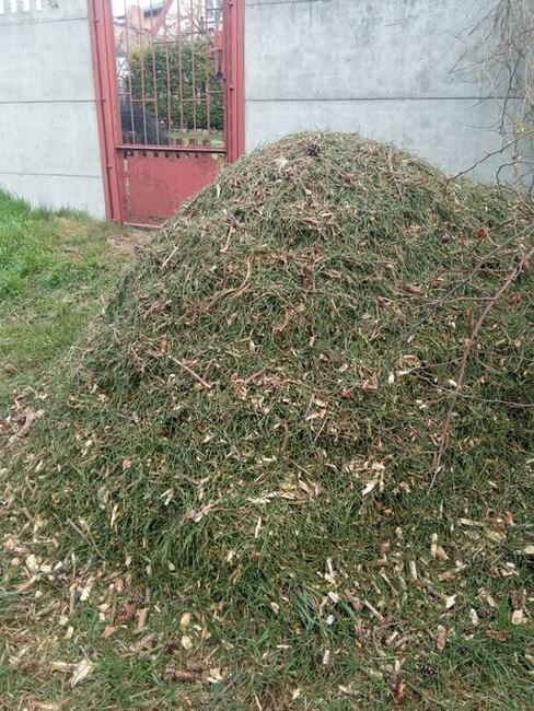 Wynajem rozdrabniacza do gałęzi z operatorem. BanGarden