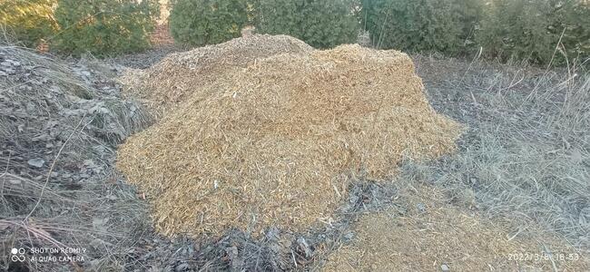 Wynajem rozdrabniacza do gałęzi z operatorem. BanGarden