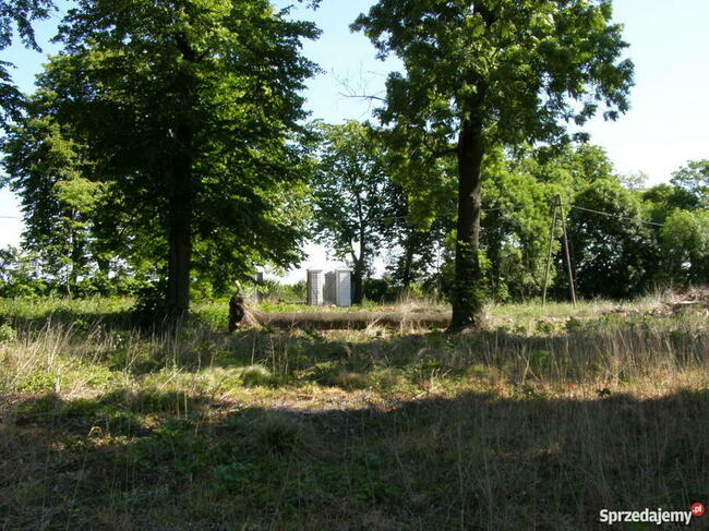 Zabytkowy dworek z parkiem sprzedam bez pośredników