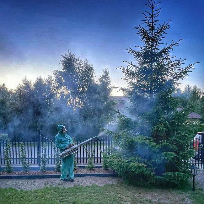 Usuwanie pluskwy i prusaków Łódź Dezynfekcja Ozonowanie