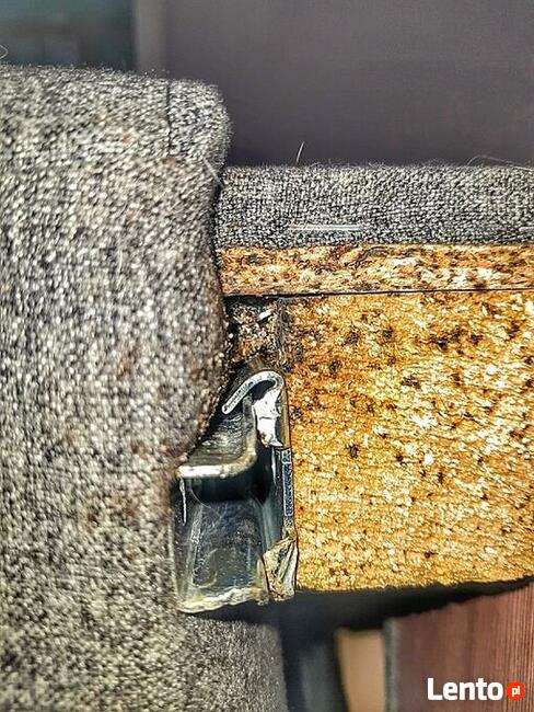 Odpluskwianie Dezynsekcja i usuwanie pluskwy Łódź