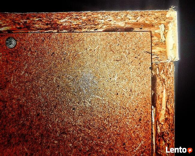 Odpluskwianie Dezynsekcja i usuwanie pluskwy Łódź