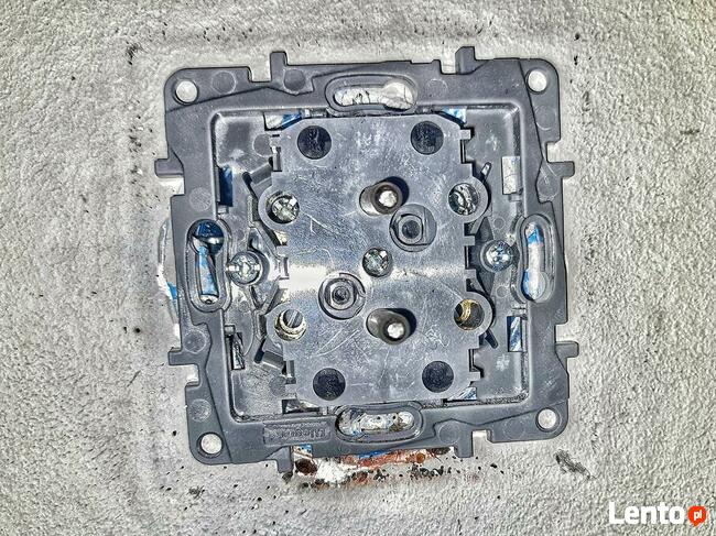 Odpluskwianie Dezynsekcja i usuwanie pluskwy Łódź