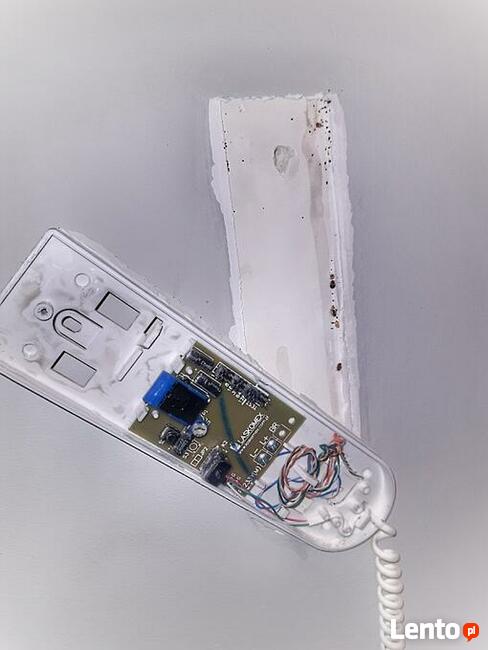 Odpluskwianie Dezynsekcja i usuwanie pluskwy Łódź