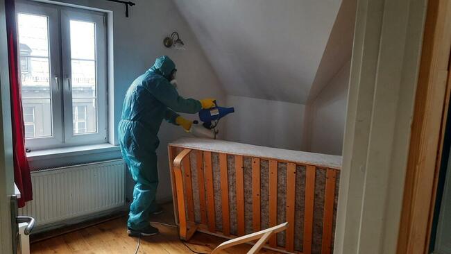 Usuwanie pluskwy i prusaków Łódź Dezynfekcja Ozonowanie