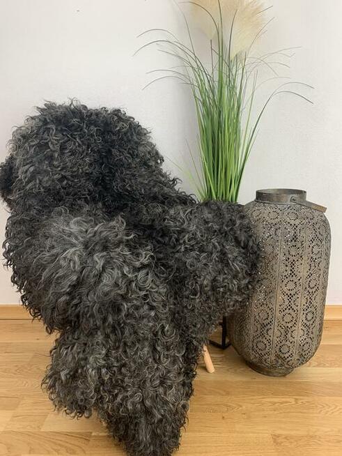 Naturalna skóra owcza Gotland