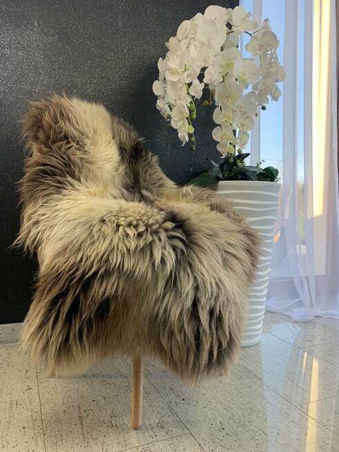 Naturalna skóra owcza holenderska