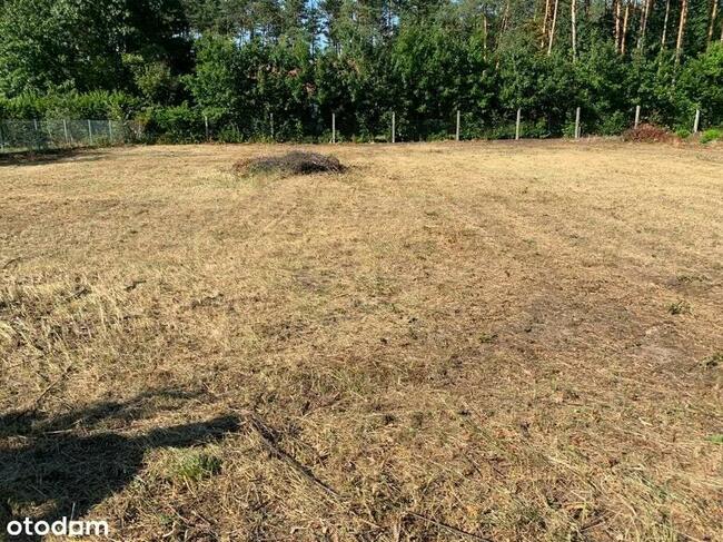 Świetna Lokalizacja | pod Lasem | ul. Majowa |12ar