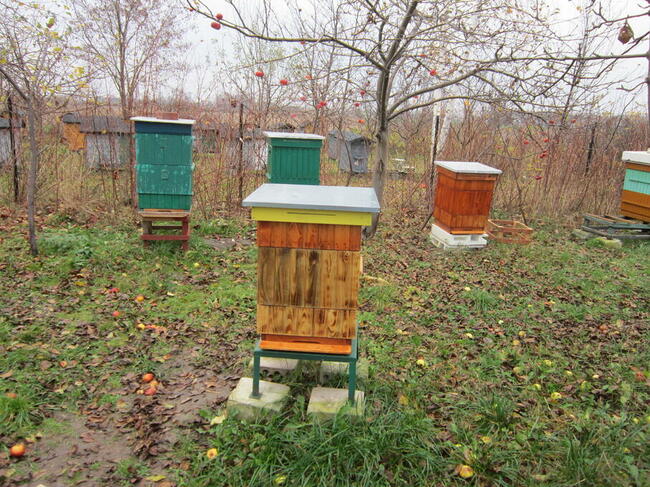 pszczoly ule odklady