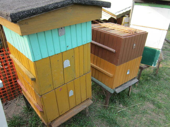 pszczoly ule odklady