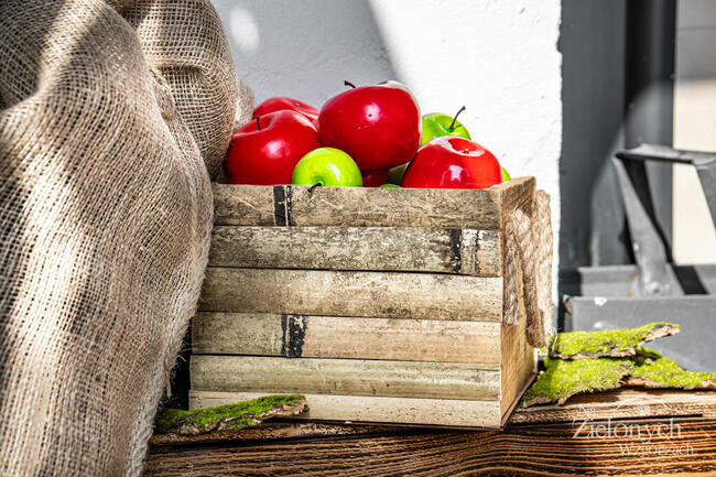 Hobbitowe Domki Na Kaszubach - Domek Alchemika - Przywidz