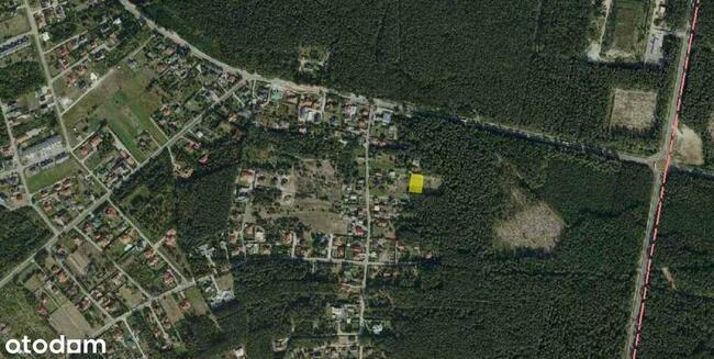 Świetna Lokalizacja | pod Lasem | ul. Majowa |12ar