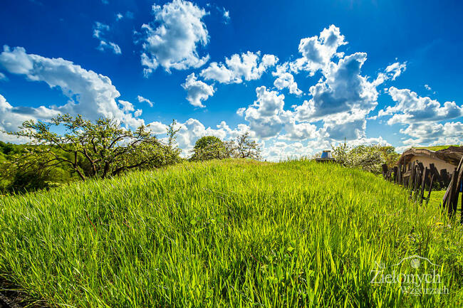 Hobbitowe Domki Na Kaszubach - Domek Zielarza - Przywidz