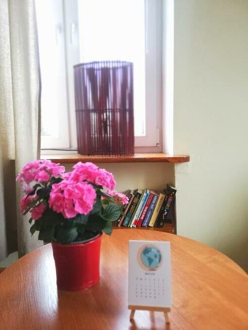 Kawalerka na Starówce