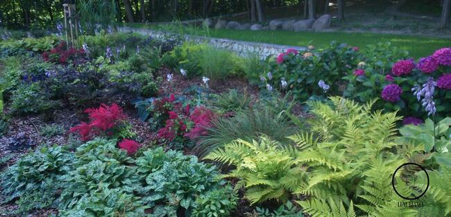 Jednorazowe pielęgnacja i realizacja ogrodu Warszawa