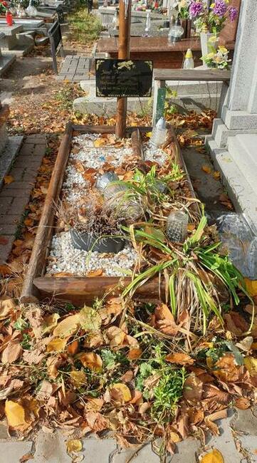 Opieka Nad Grobem.Sprzątanie Nagrobków, mycie Pomników.Łódź